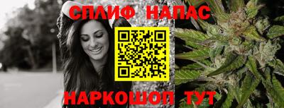 прущие крисы Абакан