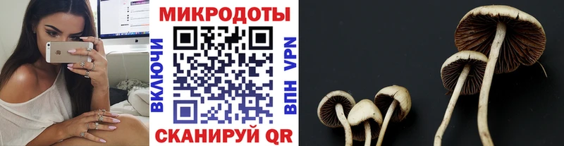 купить наркотики сайты  МЕГА сайт  Галлюциногенные грибы Cubensis  Анжеро-Судженск 