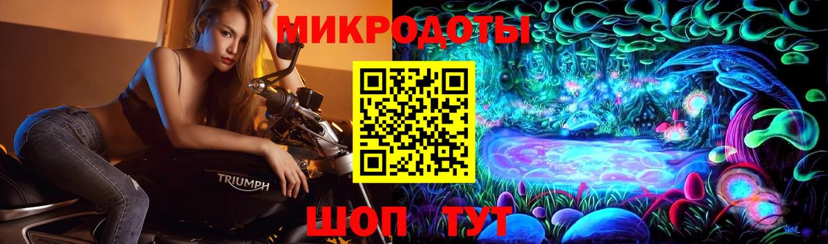 Анжеро-Судженск  Псилоцибиновые грибы Psilocybe  Вход с VPN 