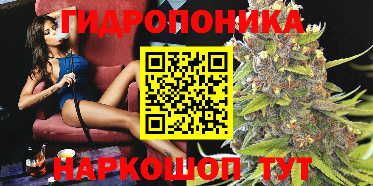 Конопля Amnesia  Бошки Шишки сатива  Марихуана конопля  Анжеро-Судженск  Каннабис план  Вход с VPN 